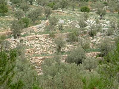 DSCF0037.JPG